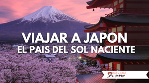 Ir a Japón: Vuelo, escala y Visa